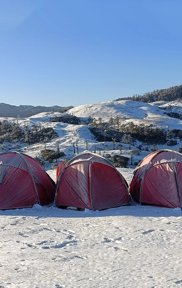 Sandakphu Trek